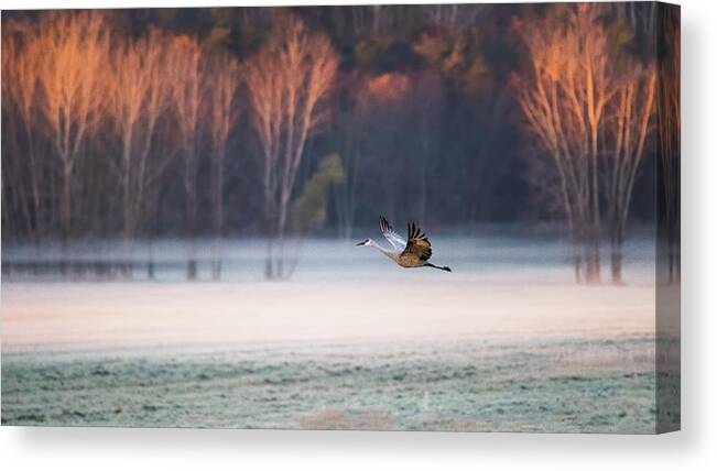Crane Canvas Print featuring the photograph Lonely Flyer by Jane Luo