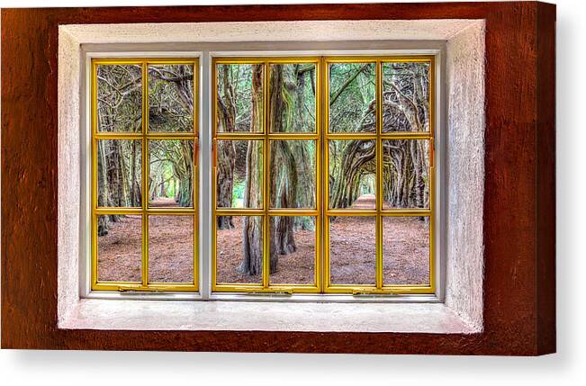 Architecture Canvas Print featuring the photograph Magical Trees by Semmick Photo