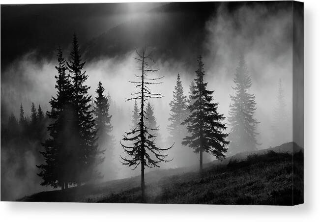 Mist Canvas Print featuring the photograph Misty Forest by Julien Oncete