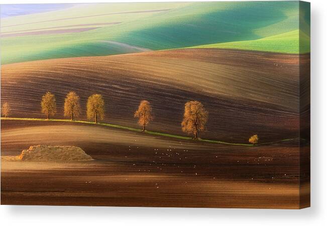 Landscape Canvas Print featuring the photograph Moravian Trees by Piotr Krol (bax)
