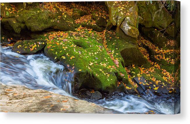 Landscape Canvas Print featuring the photograph Mossy Rock by John M Bailey