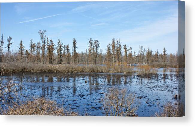 Slough Canvas Print featuring the photograph Mound Slough by Sandy Keeton