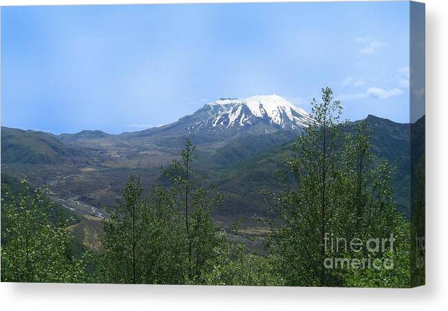Mt St Helens Canvas Print featuring the photograph Mt St Helens from Elk Rock by Charles Robinson