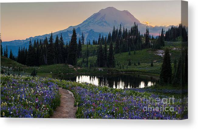 Mount Rainier Canvas Print featuring the photograph Naches Loop Meadows by Mike Reid