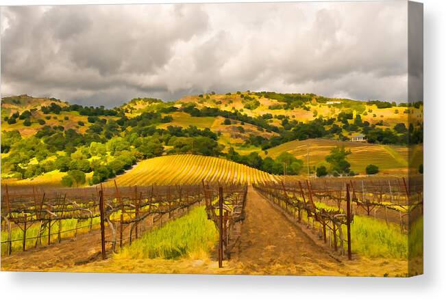 Napa Valley Canvas Print featuring the digital art Napa Vineyard by Mick Burkey