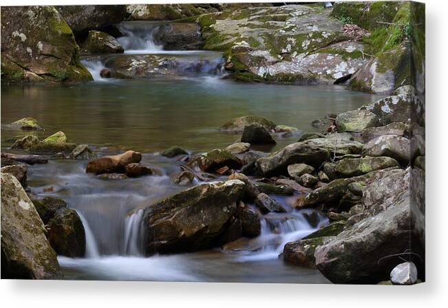North Prong Of Flat Fork Creek Canvas Print featuring the photograph North Prong Of Flat Fork Creek by Daniel Reed