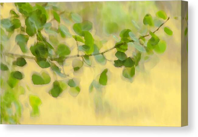 Painted Canvas Print featuring the photograph Painted By The Wind Two by Theresa Tahara