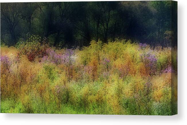 Landscape Canvas Print featuring the photograph Pastel Field by Vickie Szumigala
