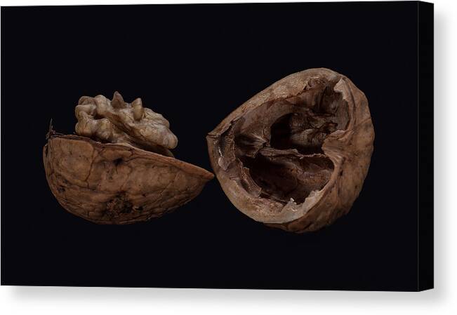 Black Background Canvas Print featuring the photograph Perfect Walnut by Len Romanick