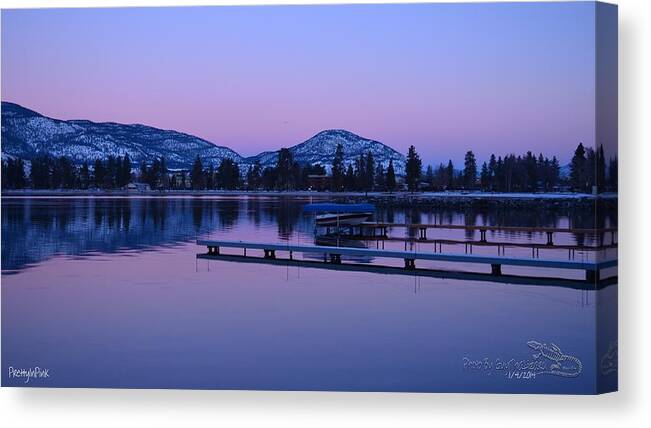 Pink Canvas Print featuring the photograph Pretty In Pink 002 by Guy Hoffman