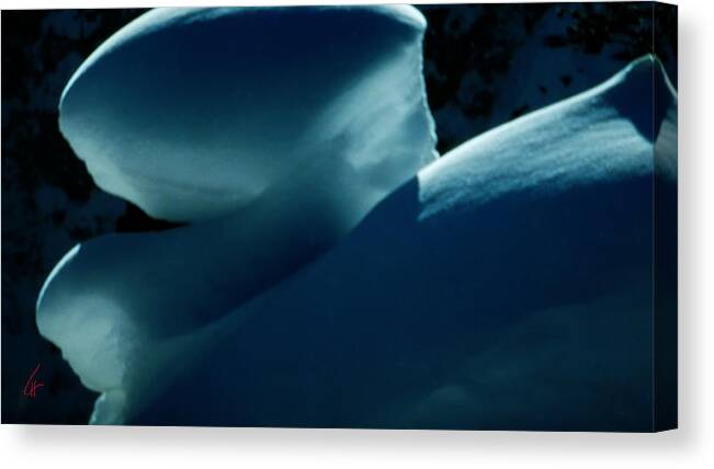 Colette Canvas Print featuring the photograph Pure Snow by Colette V Hera Guggenheim
