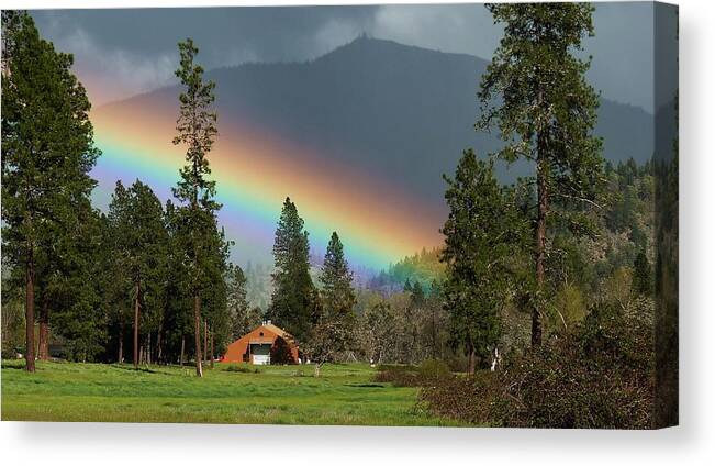 Landscape Canvas Print featuring the photograph Rainbow Forest by Julia Hassett