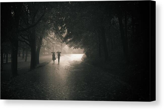 Rainy Canvas Print featuring the photograph Rainy Afternoom by Pedram Khoshbakht