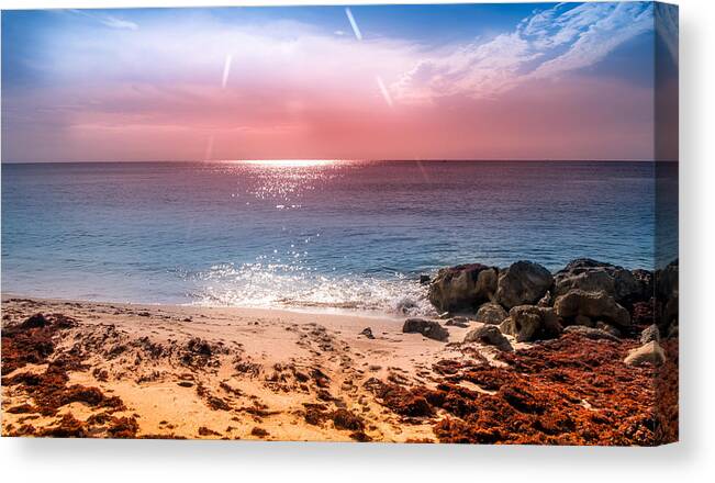 Florida Sunrise Canvas Print featuring the photograph Rays Of Light by Louis Ferreira