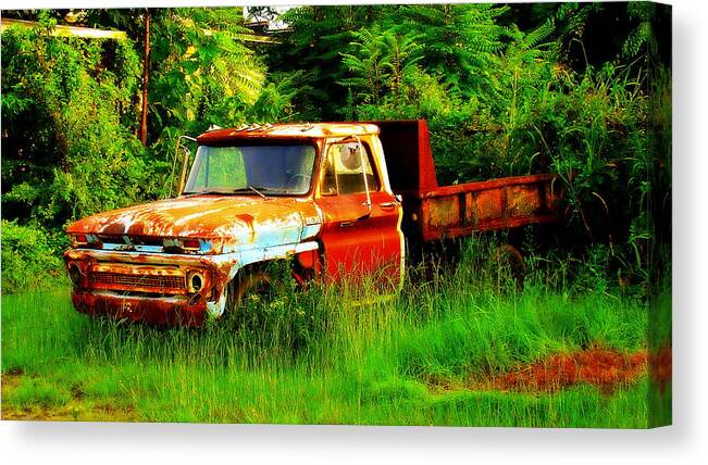 Fine Art Canvas Print featuring the photograph Retired by Rodney Lee Williams
