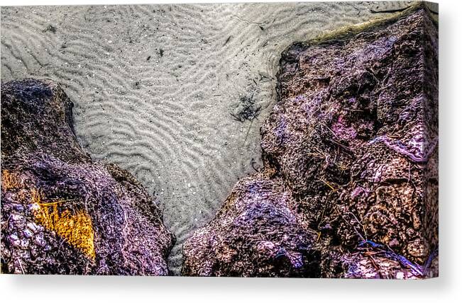 Abstract Canvas Print featuring the photograph Rippled Sand and Coral by Traveler's Pics