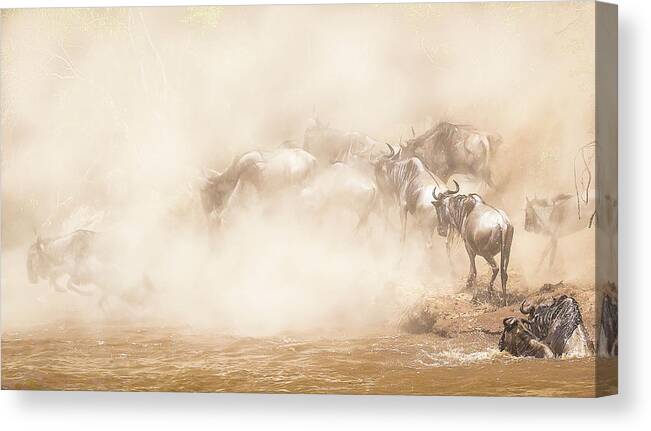 Africa Canvas Print featuring the photograph River Crossing by Eunice Kim