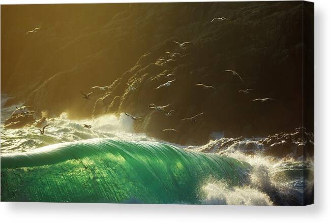Scenics Canvas Print featuring the photograph Sea Birds Flying Over Huge Breaking by Howardoates