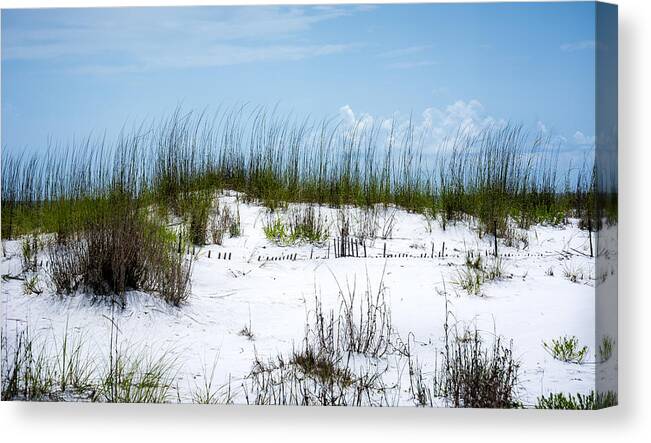 Beach Canvas Print featuring the photograph Seaside Fenceline by David Morefield