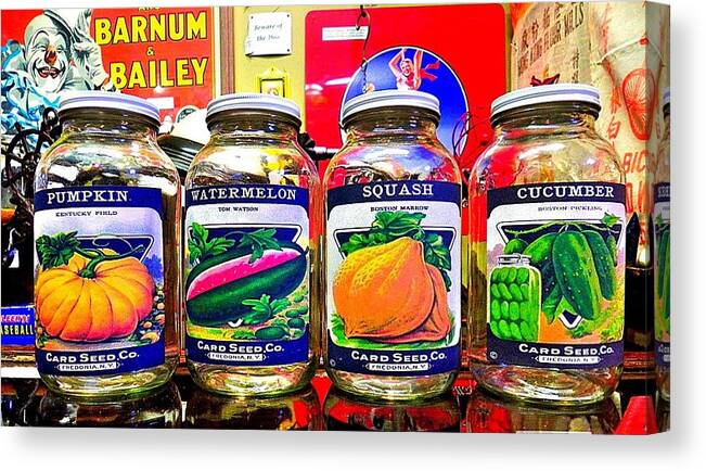 Seed Jars Canvas Print featuring the photograph Seed Jars Two by Patricia Greer