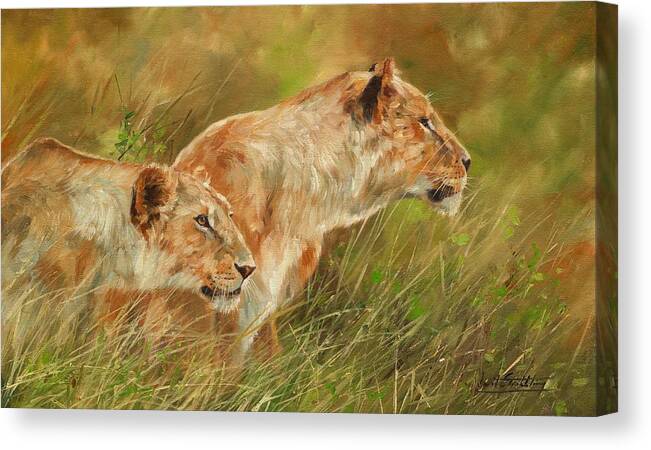 Lions Canvas Print featuring the painting Serengeti Sisters by David Stribbling