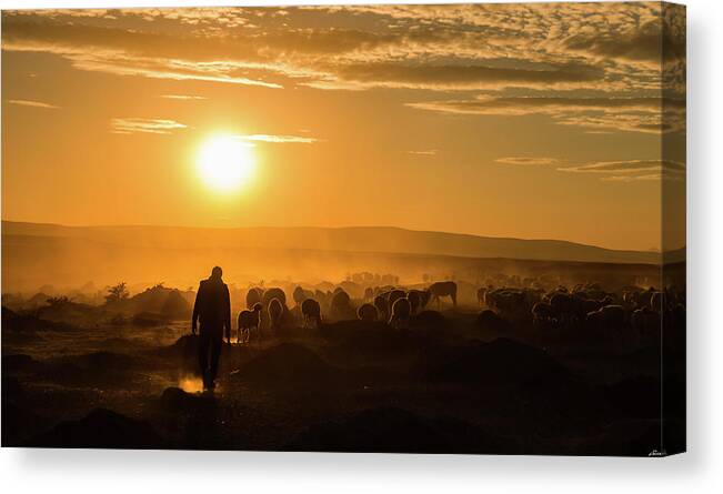 Sun Canvas Print featuring the photograph Shepherd And Herd by Yasarmetin