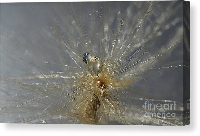 Michelle Meenawong Canvas Print featuring the photograph Silver Drops by Michelle Meenawong