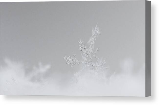 Becky Canvas Print featuring the photograph Snowflake 9 by Becky Lodes