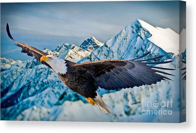 Eagle Canvas Print featuring the photograph Soaring Bald Eagle by Gary Keesler