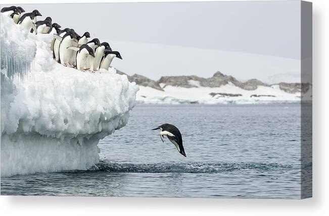 Antarctic Canvas Print featuring the photograph Splash by Joan Gil Raga