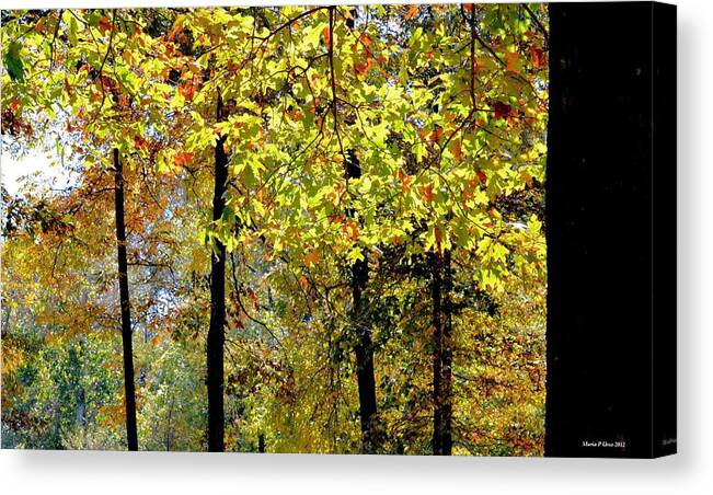 Splendor Of Autumn Trees Canvas Print featuring the photograph Splendor of Autumn Trees by Maria Urso