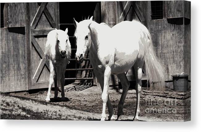 Horse Canvas Print featuring the photograph Stable Pair by Heather Taylor