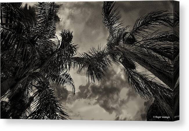 Palms Canvas Print featuring the photograph Storm Coming by Roger Wedegis