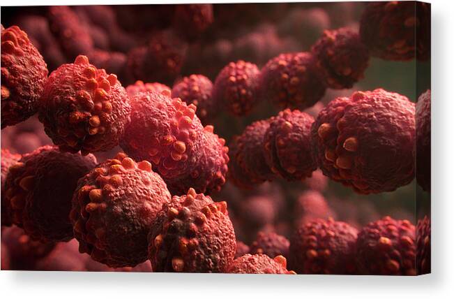Streptococcus Pyogenes Canvas Print featuring the photograph Streptococcus Bacteria by Thierry Berrod, Mona Lisa Production