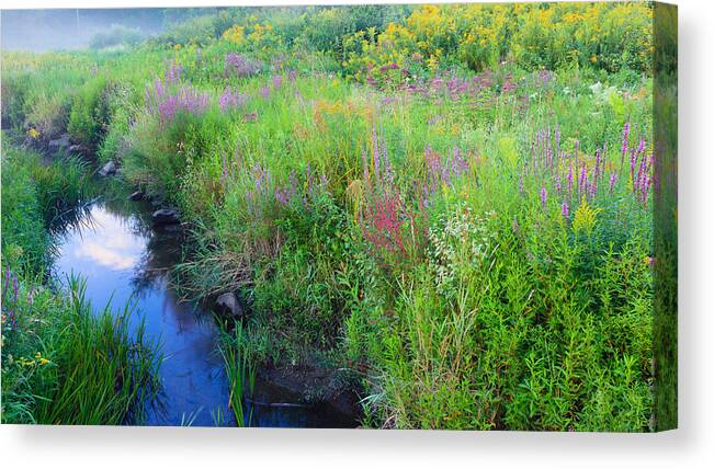 Summer Canvas Print featuring the photograph Summer Bouquet by Bill Wakeley