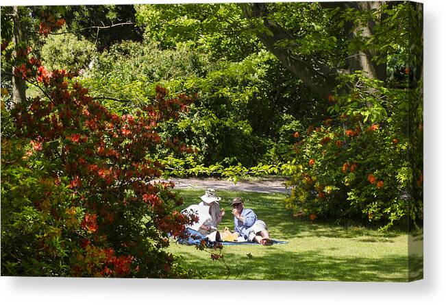 Summer Canvas Print featuring the photograph Summer Picnic by Spikey Mouse Photography