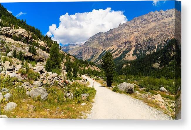 Bernina Canvas Print featuring the photograph Swiss Mountains by Raul Rodriguez