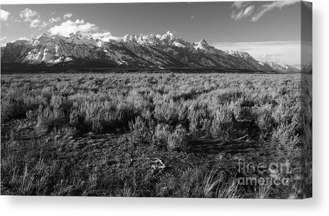 Tetons Canvas Print featuring the photograph Tetons in Black and White by Edward R Wisell