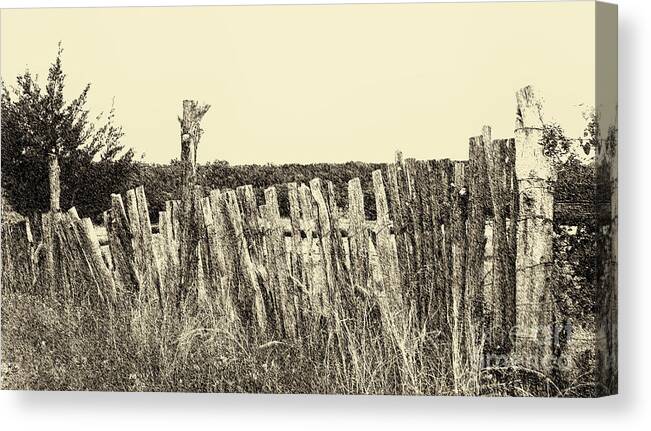 Texas Hill Country Canvas Print featuring the digital art Texas Fence in Sepia by Luther Fine Art