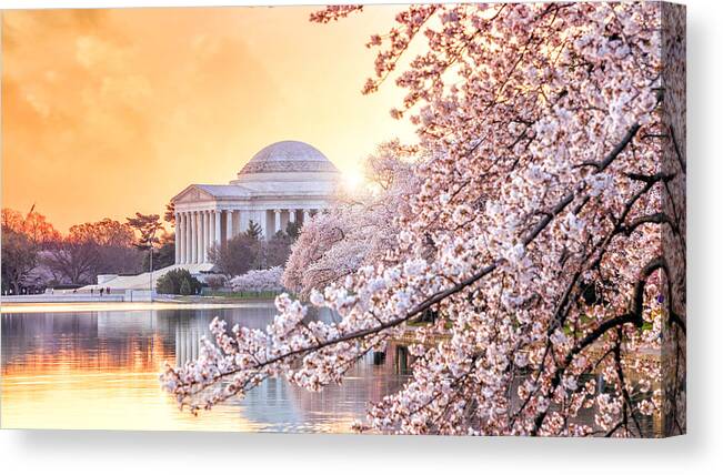 Panoramic Canvas Print featuring the photograph the Jefferson Memorial during the Cherry Blossom Festival by F11photo
