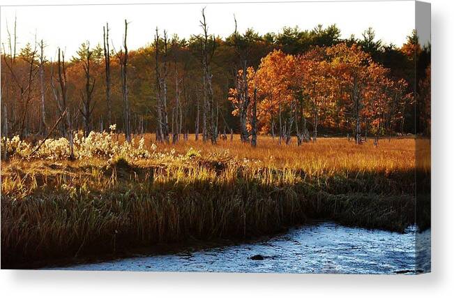 Scarborough Marsh Canvas Print featuring the photograph The Marsh by Paul Noble