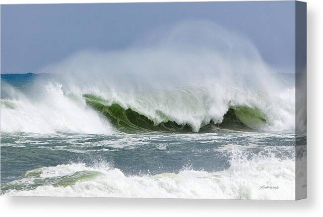 The Oceans Roar Canvas Print featuring the photograph The Oceans Roar by Michelle Constantine