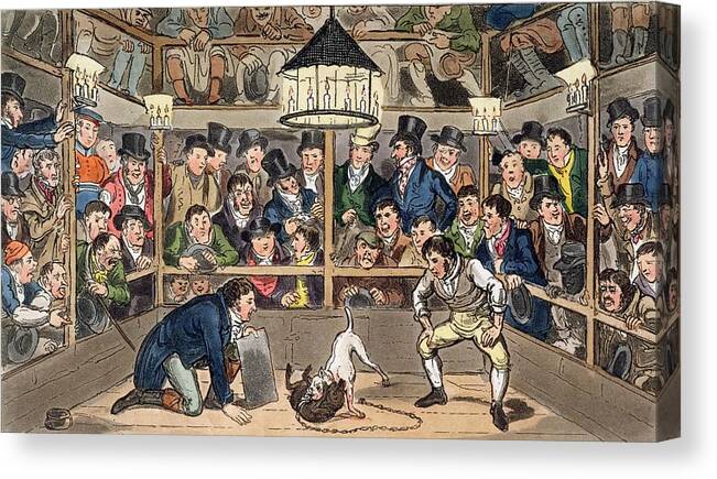 Pit Bull Terrier Canvas Print featuring the drawing Tom And Jerry Sporting Their Blunt by I. Robert & George Cruikshank