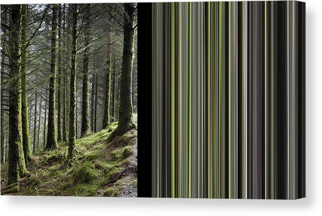 Forestry Canvas Print featuring the photograph Tree trunks natural and abstract by Gary Eason