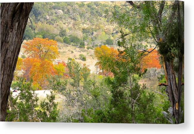 Texas Hill Country Canvas Print featuring the photograph Valley Pleasure by David Norman