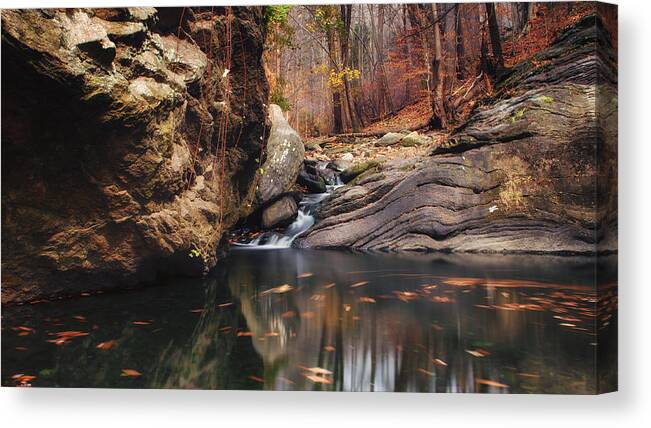 Lanscape Canvas Print featuring the photograph White tail by Rob Dietrich