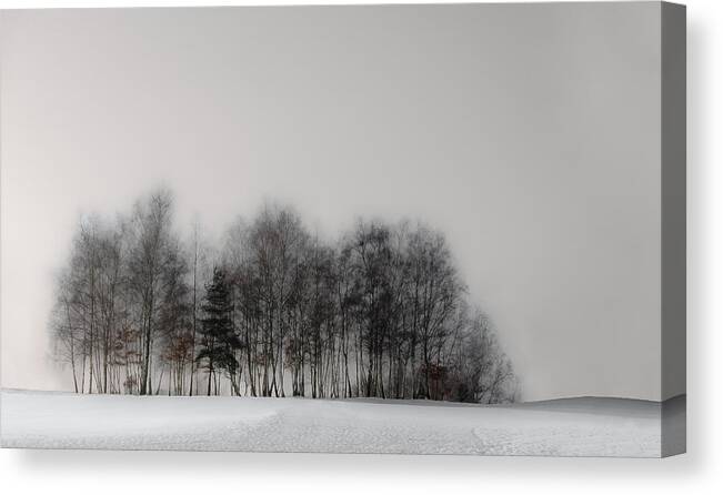 Winter Canvas Print featuring the photograph Winter Forest by Gilbert Claes