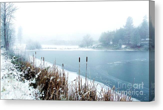 Landscape Canvas Print featuring the photograph Winter Ice by Julia Hassett