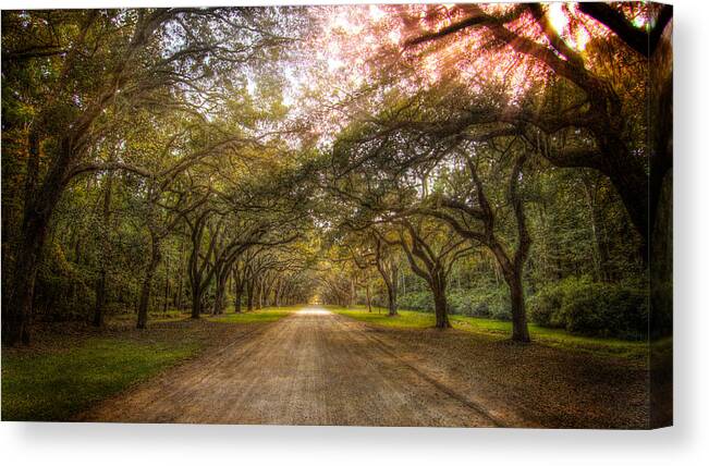 Wormsloe Canvas Print featuring the photograph Wormsloe Plantation by Mark Andrew Thomas