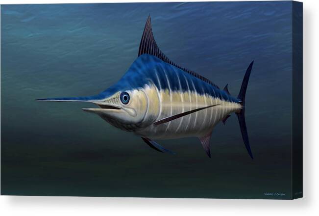 Blue Marlin Canvas Print featuring the digital art Blue Marlin #1 by Walter Colvin